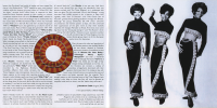 the-three-degrees-1970,1975-(2cd)-maybe,-so-much-love-(cdbbrx0180)-booklet-6
