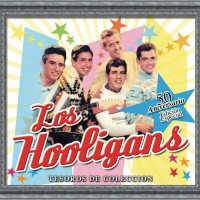 los-hooligans---agujetas-de-color-de-rosa-(pink-shoe-laces)