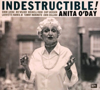 2006---indestructible!
