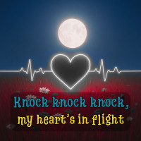 dianamusic,-musicland---knock-knock-knock,-my-heart’s-in-flight