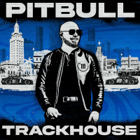 pitbull,-elvis-crespo---suave