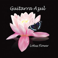 guitarra-azul---fuego-loco