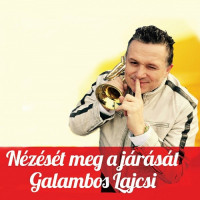 lagzi-lajcsi---azok-a-szép-napok