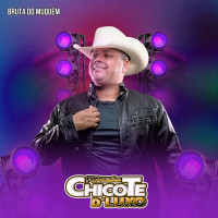 forrozão-chicote-d’-luxo---bruta-do-muquém