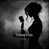 velourvoix---un-regard,-et-tout-a-changé