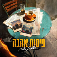shlomit-aharon---פיסות-אהבה