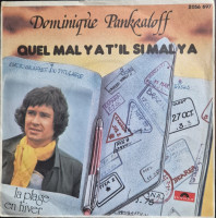 dominique-pankratoff---quel-mal-y-a-til-si-mal-y-a