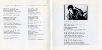 flying-colours-1988-04