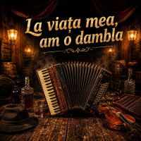 vibres---la-viața-mea,-am-o-dambla