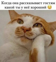 2ddd95220b_20908909