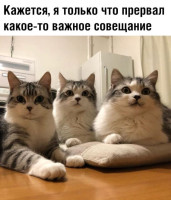 4694829457_20729316