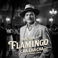 doctor-flamingo---cha-cha-cha---le-remix-de-monsieur-estil·les