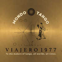 mondo-tango---the-masochism-tango