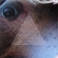 r-28504483-1696631010-4725