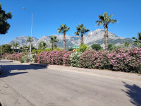 img_20260628_083334