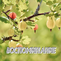 sergey-grischuk---vospominanie
