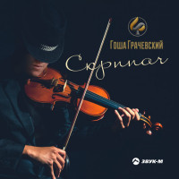 gosha-grachevskiy---skripach