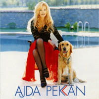 ajda-pekkan---senin-i̇çin-burdayım