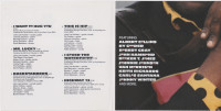 inlay-1