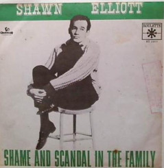 elliott-shawn---shame-and-scandal-in-the-family