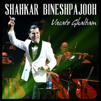 shahkar-bineshpajooh---vasate-ghalbam