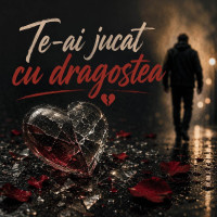 damian-nicolici---te-ai-jucat-cu-dragostea