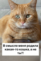 _rylxagp26bc9ykg83n0omwnsce_ng2yga7xpe2fyappankjpmswqw8d4_flxyhul37efyeqo-t2makj4rf2gl9w