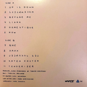 2023---furore_fiasco-(back)