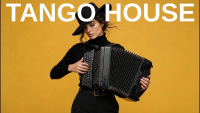 bagualz----golden-again---deep-house-meets-tango---accordion