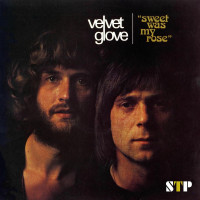velvet-glove---sweet-was-my-rose