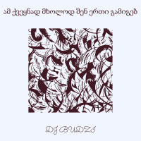 dj-budzi---ამ-ქვეყნად-მხოლოდ-შენ-ერთი-გამიგებ