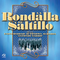 la-rondalla-de-saltillo---historia-de-amor