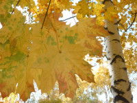 фото