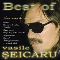 vasile-seicaru---citește-numai-la-final