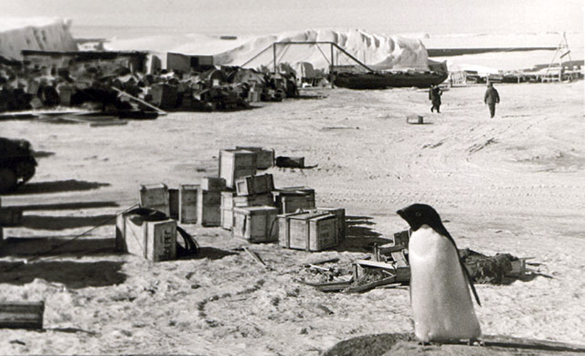 В середине 20 века антарктида. Антарктическая станция Мирный 1956. Мирный: первая Советская антарктическая станция. Советская антарктическая станция Мирный. Полярная станция Новолазаревская 1961.